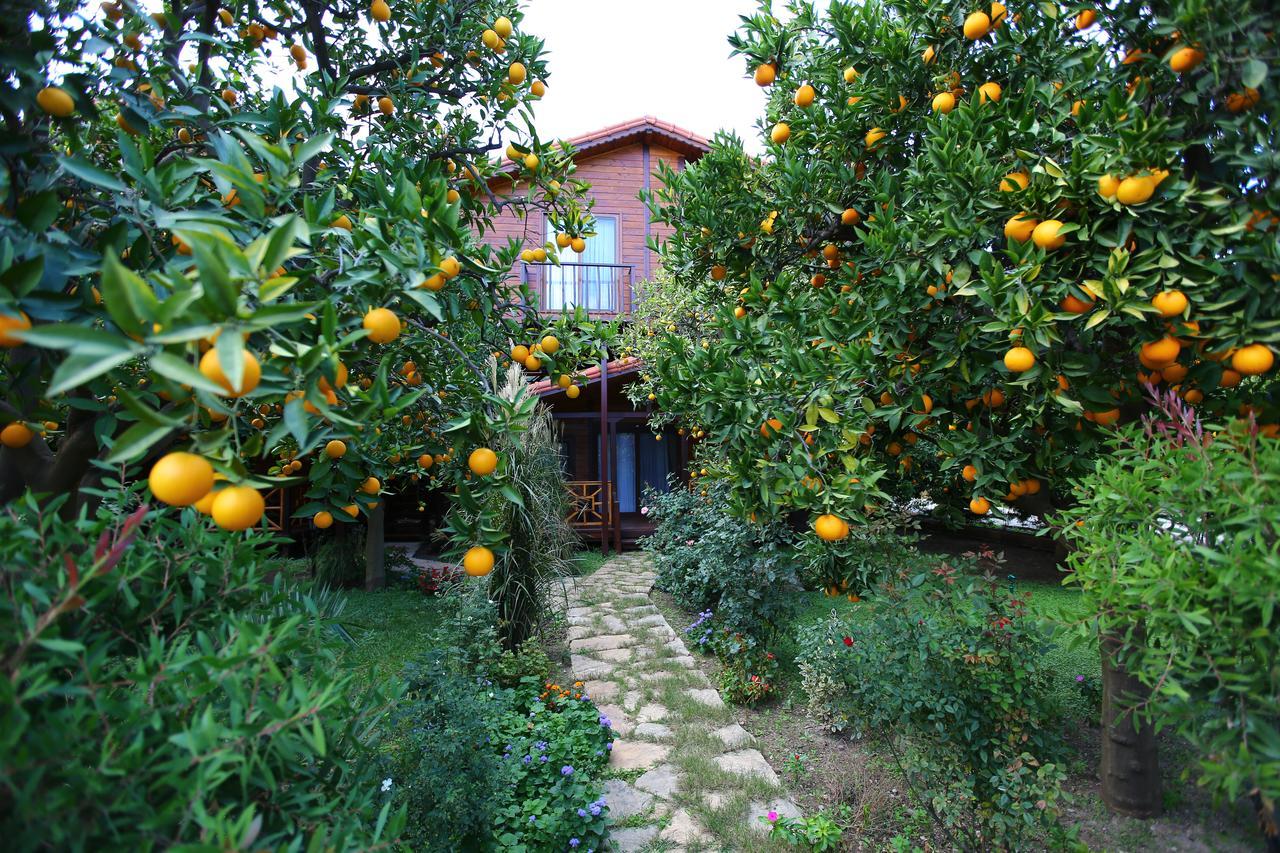 Bahce Villa Çıralı Exteriér fotografie